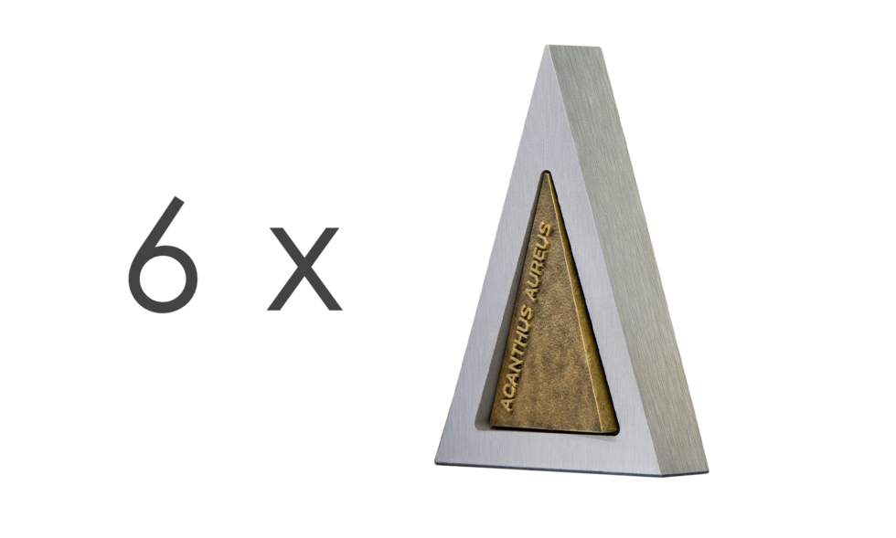 acantus_x6-980x589